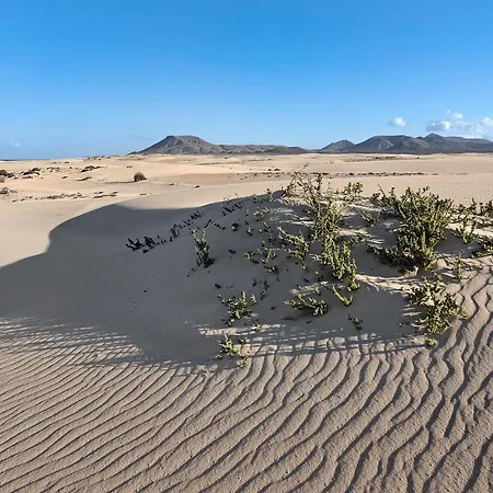 Pacifica Villa Corralejo