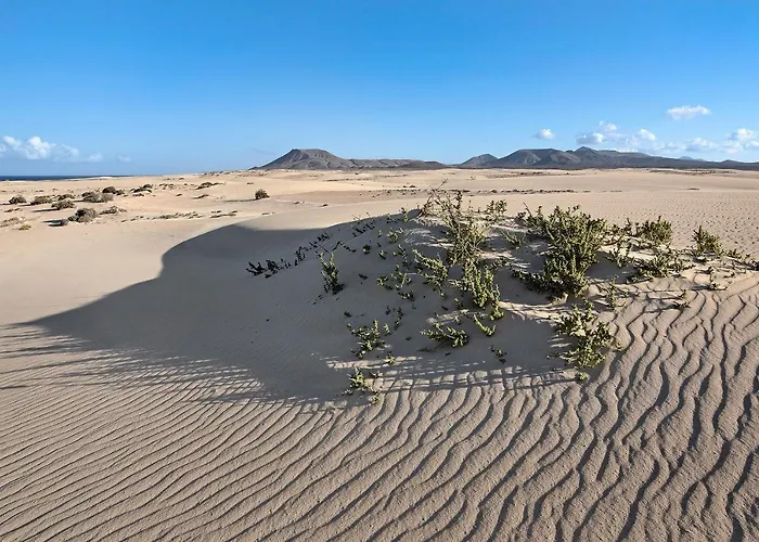 Pacifica Willa Corralejo